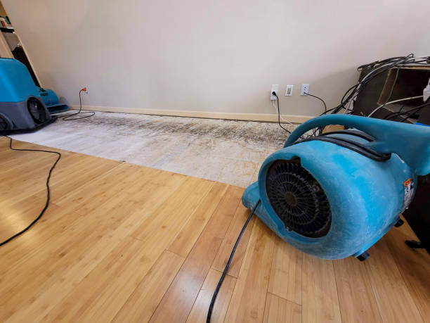 Professional Basement Flood Cleanup technician working in Omar, WV